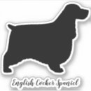 Recherche de chien cocker coques Dog
