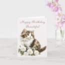 Zoek naar kat bloemen kaarten Botanisch