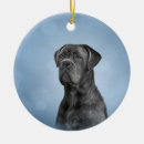 Zoek naar italiaanse kerstdecoratie Schattig