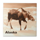 Recherche de laiterie carreaux Brun