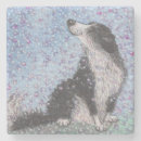 Recherche de berger bar Chien de berger