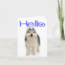 Zoek naar husky puppy kaarten Honden