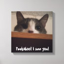 Recherche de espiègle Chat