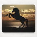 Recherche de silhouette cheval tapis souris Coucher de soleil