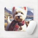 Recherche de westies tapis souris Chiot