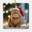 Recherche de exotique ornements Chaton