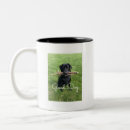 Recherche de labrador retriever noir tasses Drôle