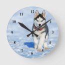Recherche de sibérien horloges Chiot