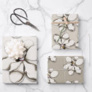 Recherche de magnolia papier cadeau Fleurs blanches