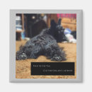 Recherche de terrier refrigérateur magnets Drôle