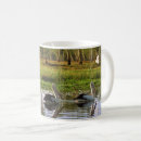 Recherche de zone tasses Faune