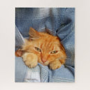Recherche de mignon chat puzzles Animal