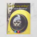 Recherche de drôle chat cartes postales Amusant