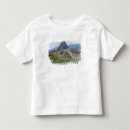 Recherche de picchu de machu tshirts Montagnes