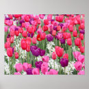 Zoek naar bloemblaadjes posters Bloemen