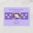 Zoek naar west highland white terrier Doodsbang