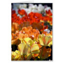 Recherche de keukenhof Voyage