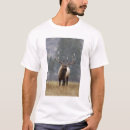 Zoek naar rolfe tshirts Burlen