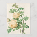 Recherche de amour vintage cartes postales Rustique