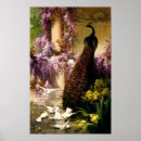 Recherche de la colombie posters Floral
