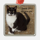 Recherche de smoking ornamente Chats