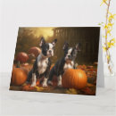 Zoek naar boston terriers kaarten Huisdier