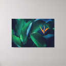 Zoek naar flowers kunst Blossom