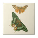 Recherche de de peinture carreaux Nature