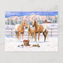 Recherche de cheval de palomino cartes postales Chevaux