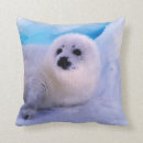 Zoek naar zegels kussens Wild