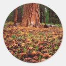 Recherche de talbot autocollants Américain