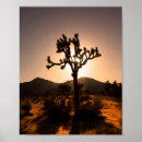 Recherche de joshua tree posters Voyage