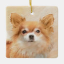 Zoek naar chihuahua hond ornamenten Puppy
