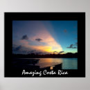 Recherche de tortue de mer posters Vacances