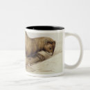 Recherche de belettes tasses Animaux