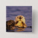 Recherche de loutre mignonne badges Faune