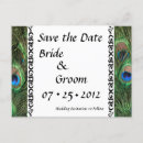 Recherche de peacock photographie mariages Bleu