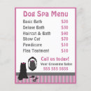 Recherche de dog grooming entreprise fournitures Toilettage de chien