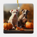 Recherche de chiot de pitbull ornements Animal de compagnie
