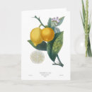 Zoek naar bloemen druk kaarten Vintage