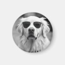Recherche de chiot drôle magnets Canin