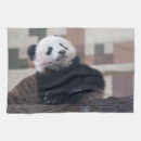 Recherche de ami velu Mignon