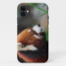Zoek naar rode panda iphone hoesjes Beer