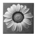 Recherche de belle fleur blanche Noir