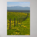 Recherche de mountain posters Fleurs