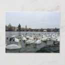 Recherche de rive cartes postales Rivière