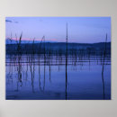 Recherche de suomi posters Finlande