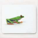 Recherche de blooded tapis souris Amphibie