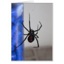 Zoek naar giftig briefkaarten Spin