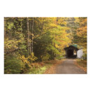 Zoek naar verandering van seizoenen posters Kleur